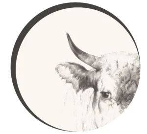 Tapetai, Stilingi ir prabangūs tapetai, Modernūs tapetai, išskirtiniai tapetai, Individualus dizainas, Užsakomi tapetai, sienų dekoras