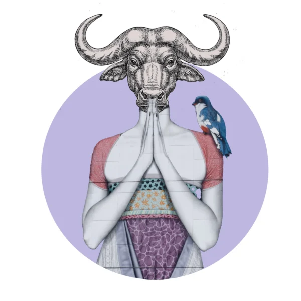 dekoratyvinės pagalvėlės pagalvėlės pagalvės veliūrinės