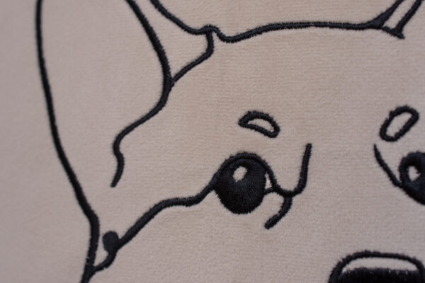 GUSTAS SALDYS Korgis