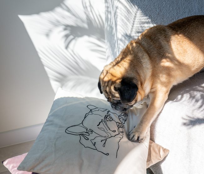 dekoratyvinė pagalvėlė pagalvėlės siuvinėta pagalvėlė pagalvėlės su šunimis dekoratyvinė pagalvėlė su gyvūnais išskirtinio dizaino pagalvėlės